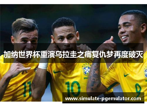 加纳世界杯重演乌拉圭之痛复仇梦再度破灭