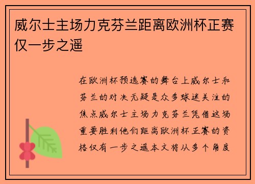 威尔士主场力克芬兰距离欧洲杯正赛仅一步之遥